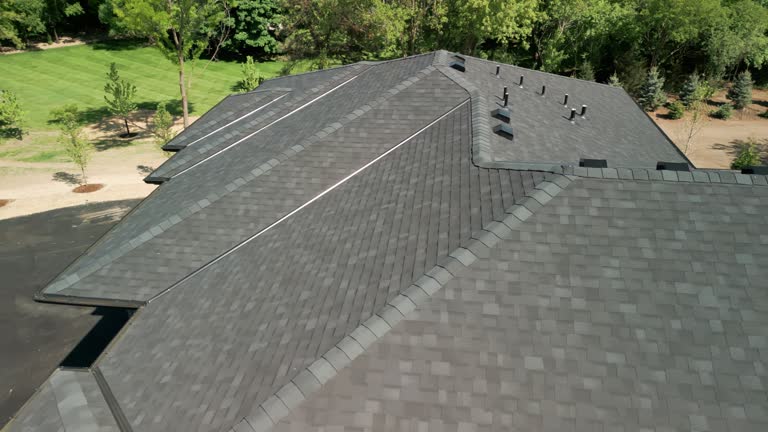 Best Gutter Installation and Repair  in Palestine, TX