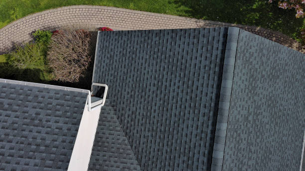 Best Roof Inspection  in Palestine, TX